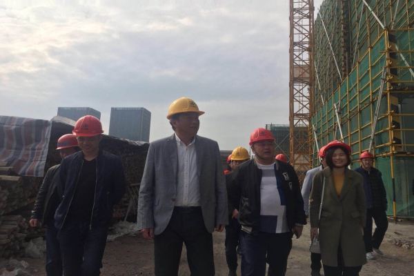 蓮都區人大常委會副主任陳魯軍視察城西小學