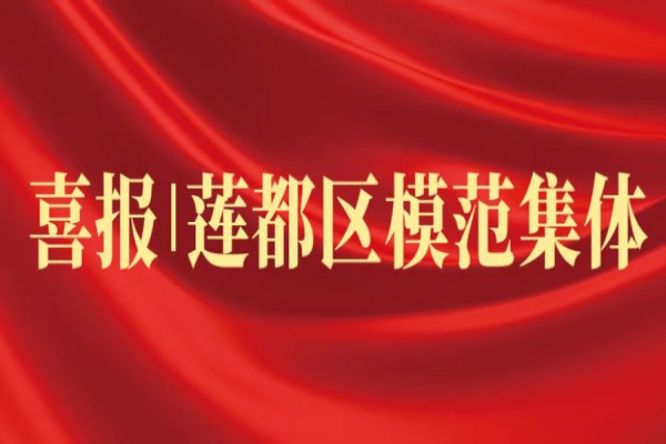 喜報丨浙江中立建設(shè)榮獲蓮都區(qū)“模范集體”稱號！